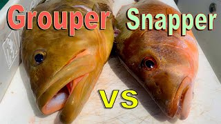 Snapper vs Grouper {Catch Clean Cook} Cooking on remote Island beach