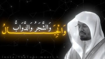 ياسر الدوسري  ـ الم تری ان الله یسجد له ما فی السماوات ومن فی الارض ـ شاشه سوداء ـ سوره الحج 