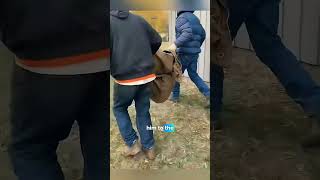 Family Saves Sick Bear And Gives Him A New Life ❤️
