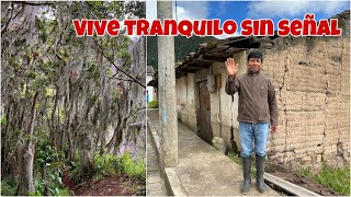 Vive TRANQUILO alejado de TODO y cuída de un bosque MISTERIOSO  / Josué y Elie