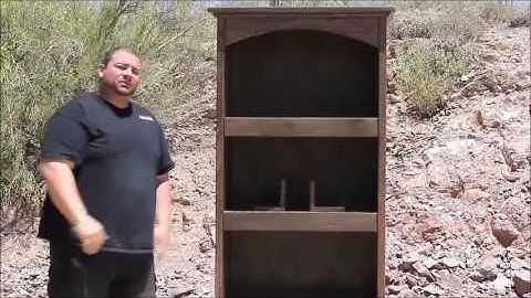 Gun Concealment furniture by Top Secret  Furniture -Bookshelf System