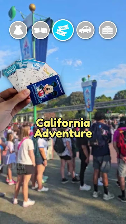 Every Reason Disney Might DENY You at the Gate 🚫