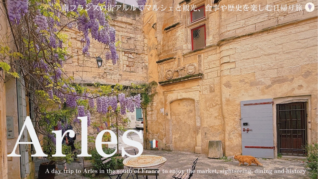 南フランス・アルル、ゴッホゆかりの地へ日帰り旅！見どころや簡単な歴史を紹介 / オススメレストランでランチ / ローマ時代の建造物 / 猫、藤の花 / Arles, South of France