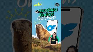When Marmots Get an OnlyFans Account to Show Off Their Daily Lives #Marmot #Wildlife #SPRiNG #Kee...