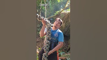 Quy trình thu hoặch Hạt đác