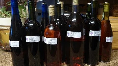 Making Wine with Concord Grapes