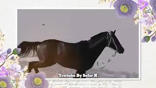 4 Şaban-18 Mart Əbəlfəz Ağanın Mövludu