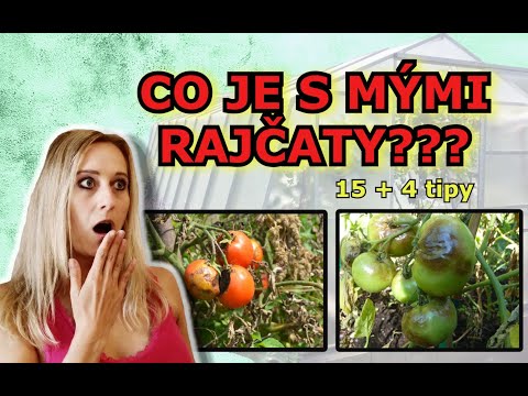 Video: Můžete jíst rajče s plísní?