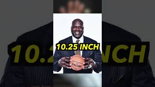 The Biggest Hands In NBA History