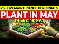 Plant These in May! 26 Low Maintenance Perennials That Bloom All Summer