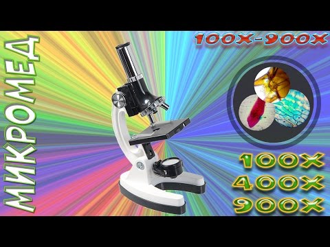 Детский микроскоп - Микромед 100x-900x в кейсе