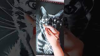 How to draw to cat               رسم #قطه# بالفحم الابيض