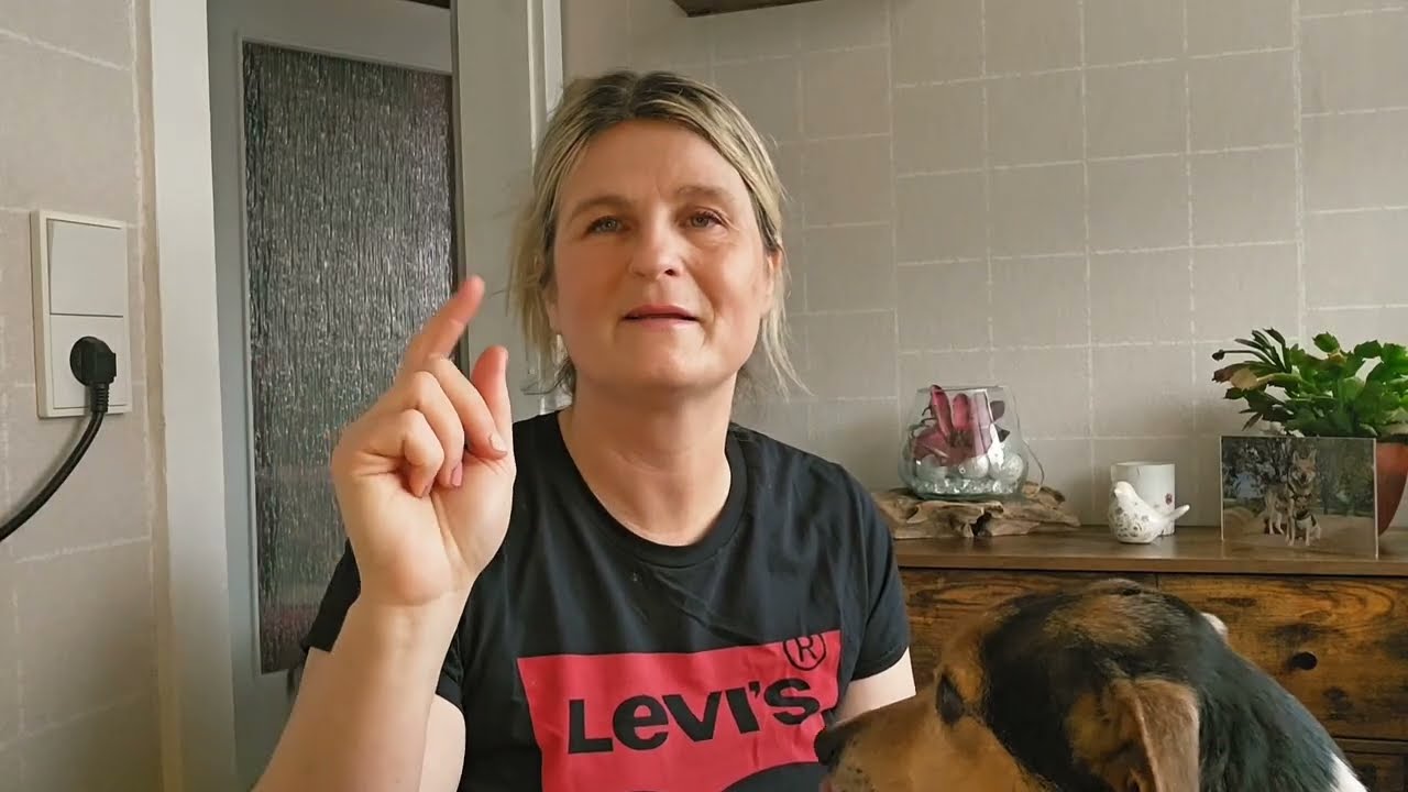 Meine Stylevana Bestellung ✨ K-Beauty Haul + 10€ Freunde-Code | Lebe bunt mit Hund