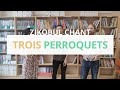 Trois perroquets  zikobul chant