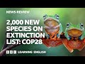 2,000 new species on extinction list: COP28: BBC News Review