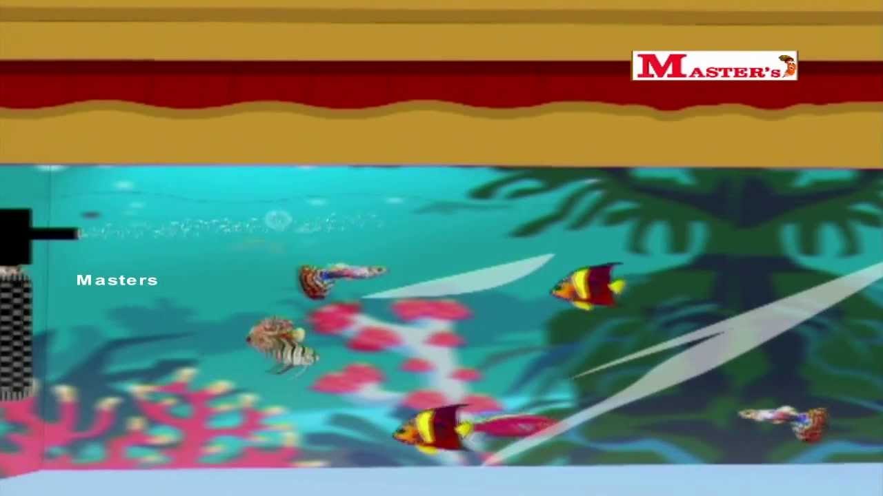 Vanna Vanna Meengal - Tamil Animation Video for Kids