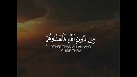 تلاوه خاشعه | بصوت القارئ عبدالله الموسى | حالات واتس اب دينيه♥♥.