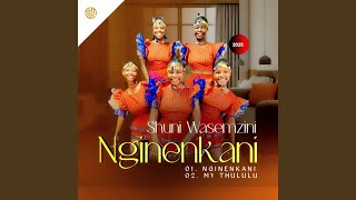 Nginenkani