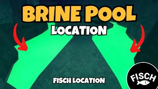 How To Get To Brine Pool in Fisch | Fisch Brine Pool Location
