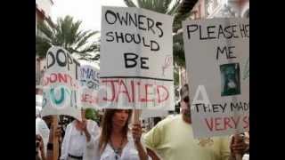 City of Newport Beach - Russo's Pet Experience FAILURE TO COMPLY AND ENFORCE STATE LAWS - NBPD