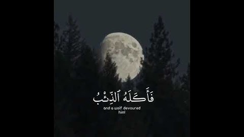 سورة يوسف القارئ اسلام صبحي💙 | حالات واتس اسلامية 🎧🌙