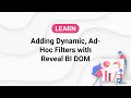 Dynamic Filters for Reveal Dashboards | TypeScript DOM API Tutorial