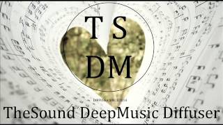 Adele - Hello (Paul Damixie Remix)