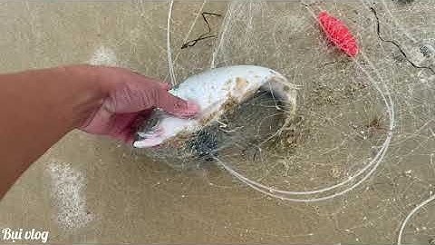 TỔNG HỢP CÁC PHA KÉO LƯỚI NGÀY BIỂN ĐỘNG GIỮA MÙA HÈ || BỤI VLOG