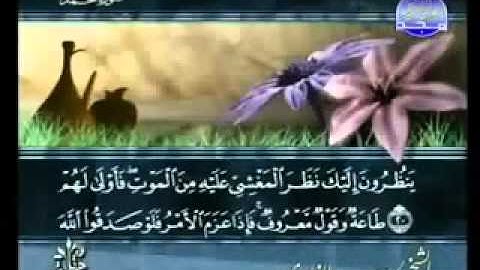 Saad al-Ghamdi Surat  Muhammad سعد الغامدي سورة محمد ‎