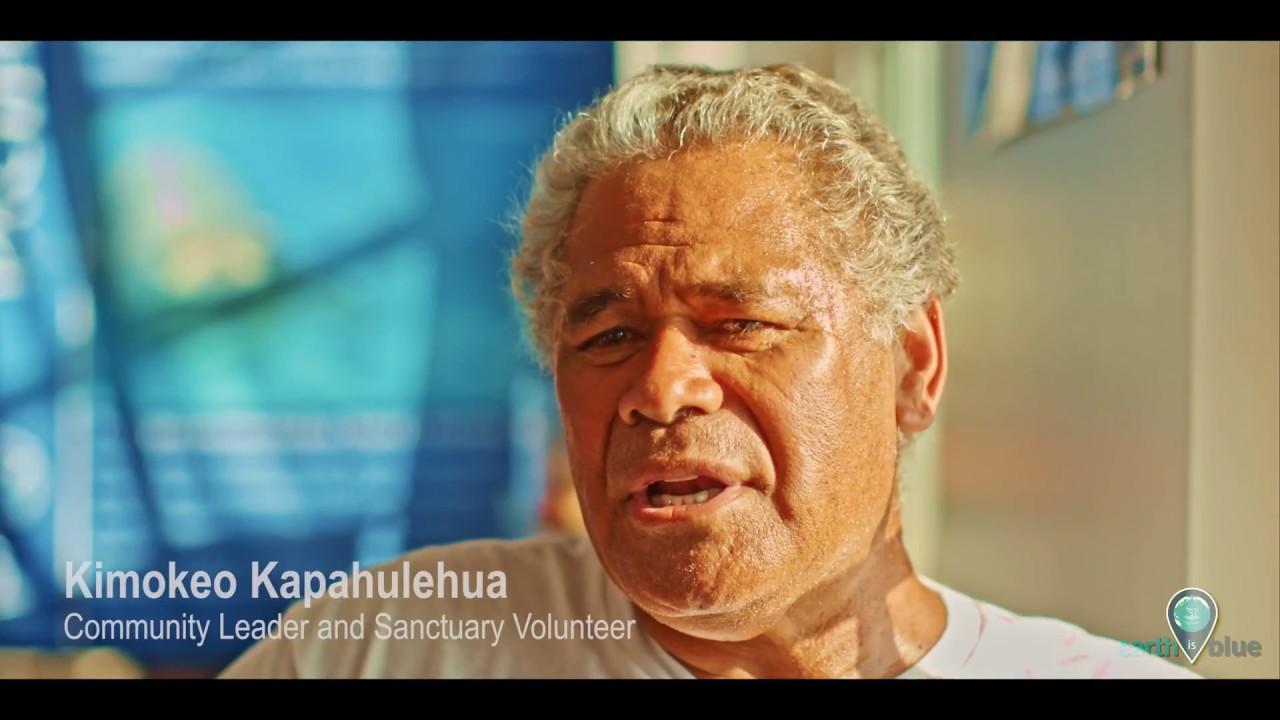 whales breaching Stories from the Blue: Kimokeo Kapahulehua