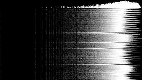 Disco Dee (a tune on the Behringer Model D, Korg Monologue and drum loop)