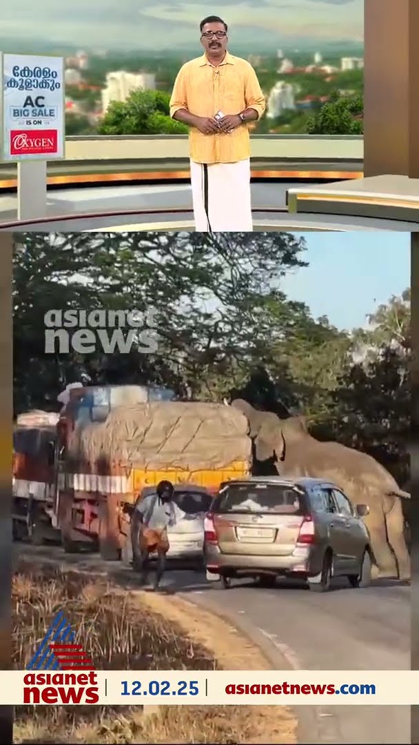 ചരക്ക് കണ്ടാൽ കക്കും, ബന്ദിപ്പൂർ-മുതുമല പാതയിൽ കാട്ടുകൊമ്പന്റെ വിളയാട്ടം