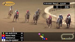 RACE 8 PROGRAM 11 05 2025