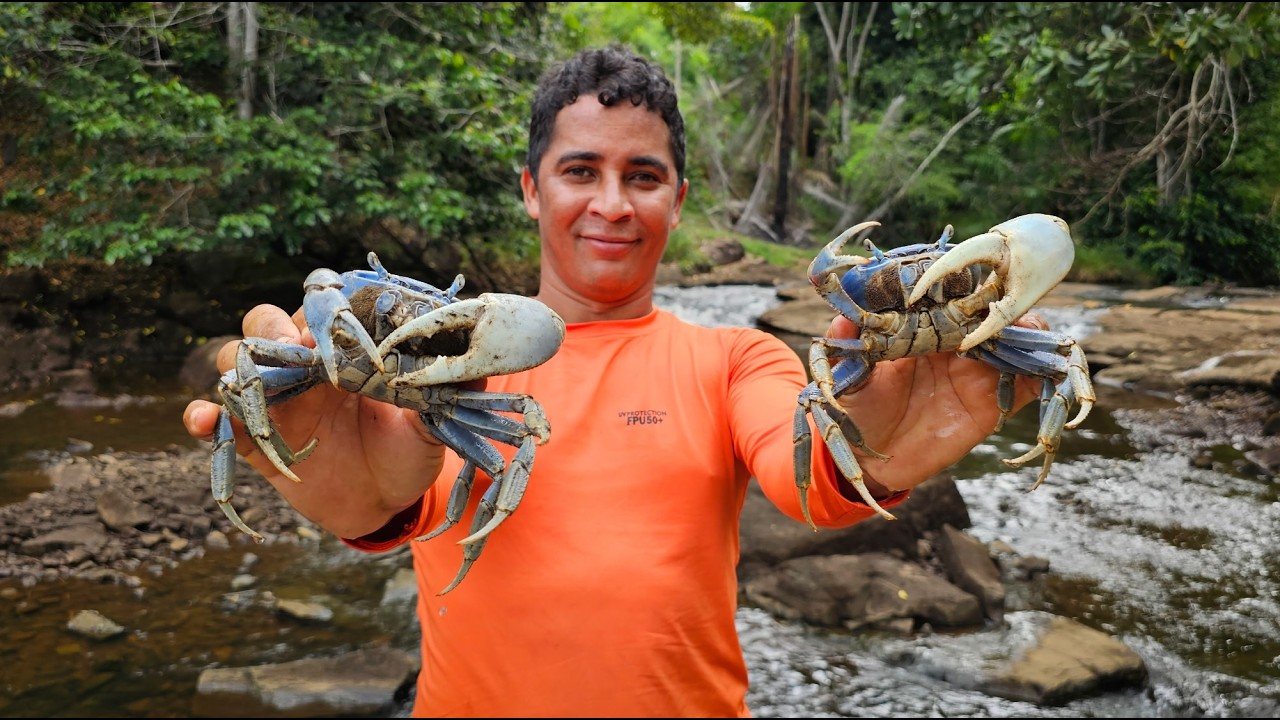 GUAIAMUM, O GIGANTE CARANGUEJO AZUL (catch and cook blue crab)