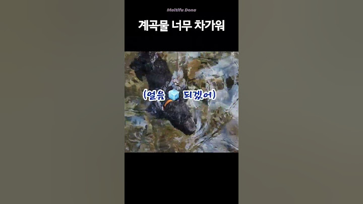 수영하다말고 계곡 탈출하는 강아지 #귀여운강아지 #funnyshorts