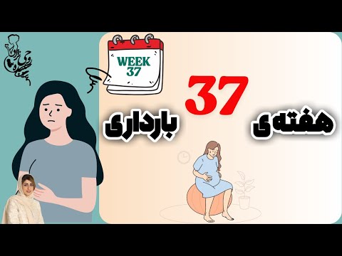 هفته ۳۷ بارداری شروع ترم کامل و آماده باش برای زایمان ماماروحی