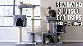 Reviewing Two of Our Frisco Cat Trees (Pros & Cons)