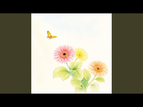 雨上がりの夜、夏