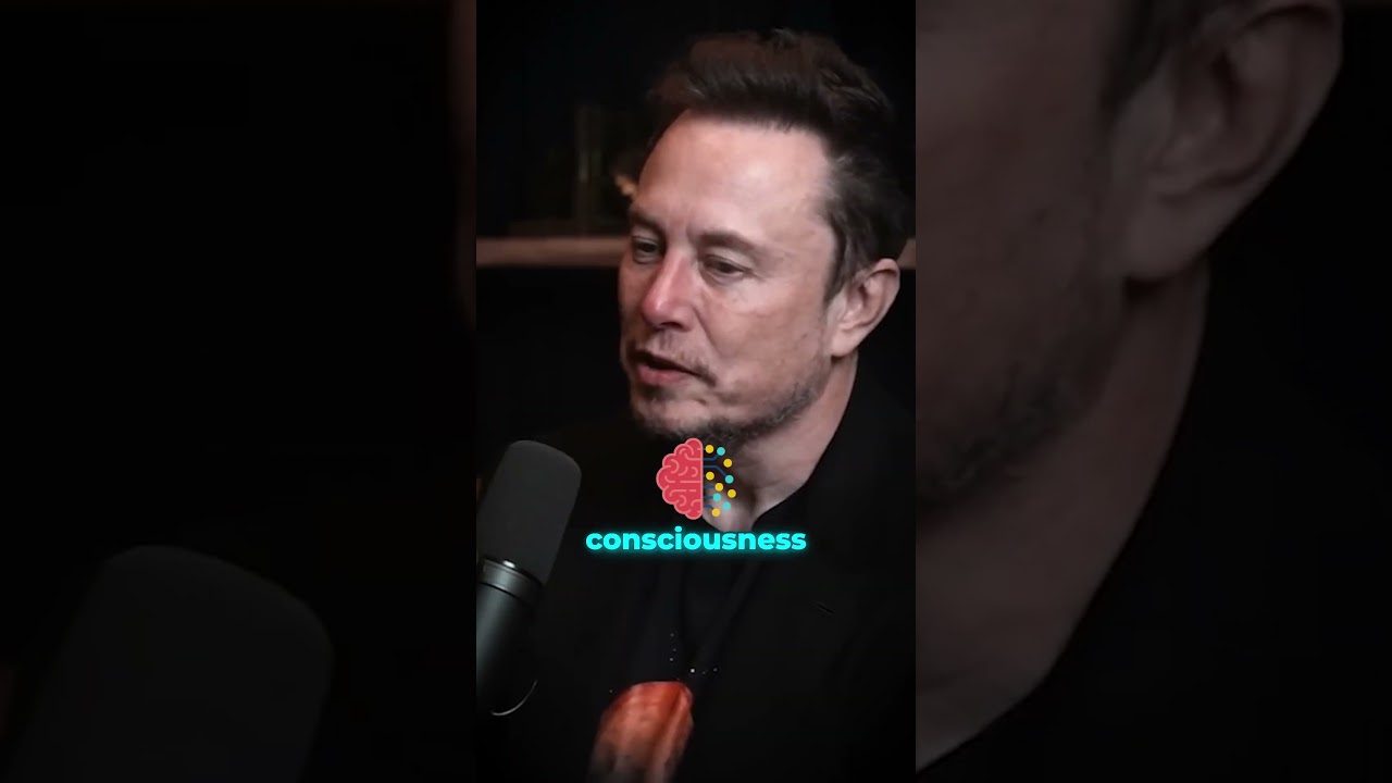 Podcast Elon
