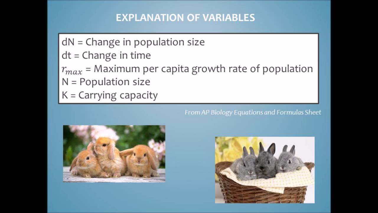 Exponential and Logistic Growth - YouTube