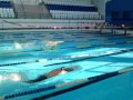 Nikita Konovalov - very fast 50 meters dolphin kicking