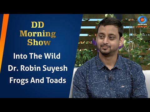 DD Morning Show