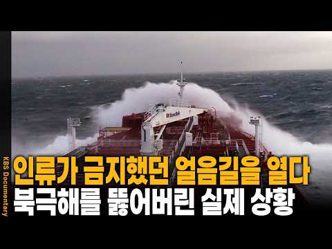 7,000km Distance, $200,000 in Fuel Costs Saved! The Real Story of Pioneering the 'Arctic Route' T...