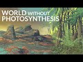 What Would The Earth Be Like Without Photosynthesis?