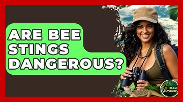 Are Bee Stings Dangerous? - Reptilian Wonders