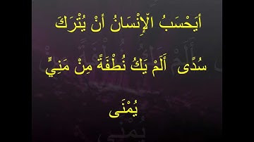أبو إلياس  الجزائري  ما تيسّر من سورة القيامة الجزء2