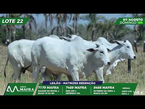 LOTE 22 MFRA 7179,8466,7469