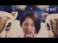【日本CM】 JA銀行 (松下奈緒)