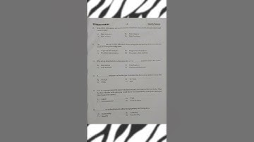 Artificial Intelligence Question paper B.Sc B.Com 4th semester (NEP) 2024