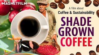 SHADE GROWN COFFEE (Official Trailer) HD1080